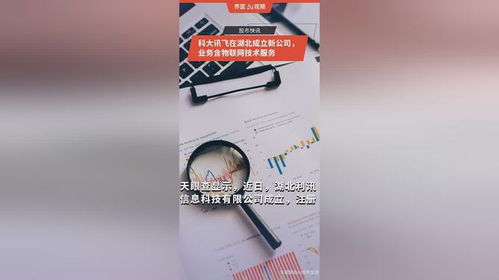 科大訊飛在湖北成立新公司，拓展物聯(lián)網(wǎng)技術(shù)服務(wù)版圖